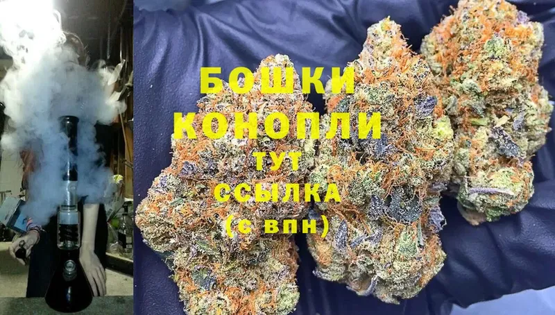 где продают   Верея  Бошки Шишки VHQ 